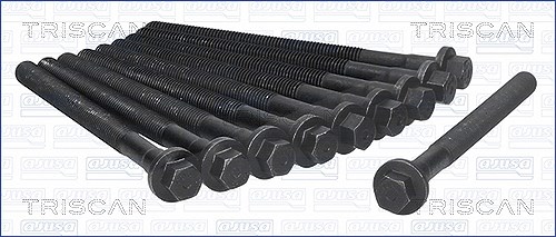 Triscan Zylinderkopfschraubensatz [Hersteller-Nr. 98-8006] für Volvo, Renault
