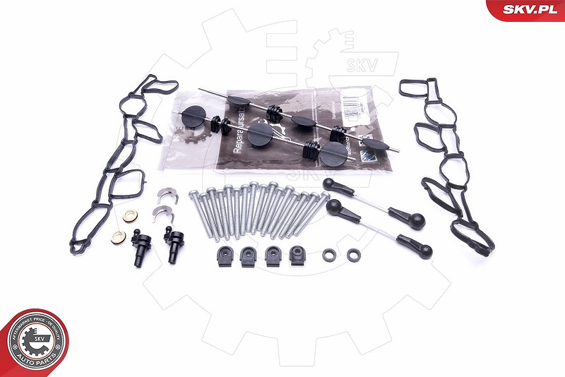 Esen Skv Reparatursatz, Saugrohrmodul [Hersteller-Nr. 49SKV501] für Audi, VW
