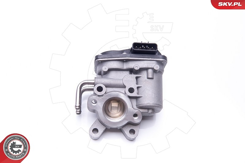 Esen Skv AGR-Ventil [Hersteller-Nr. 14SKV102] für Renault, Nissan