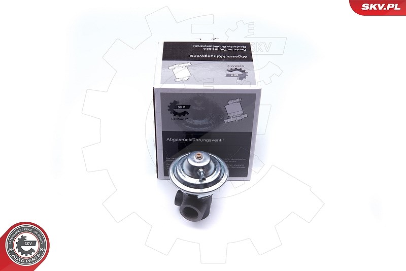 Esen Skv AGR-Ventil [Hersteller-Nr. 14SKV187] für Volvo
