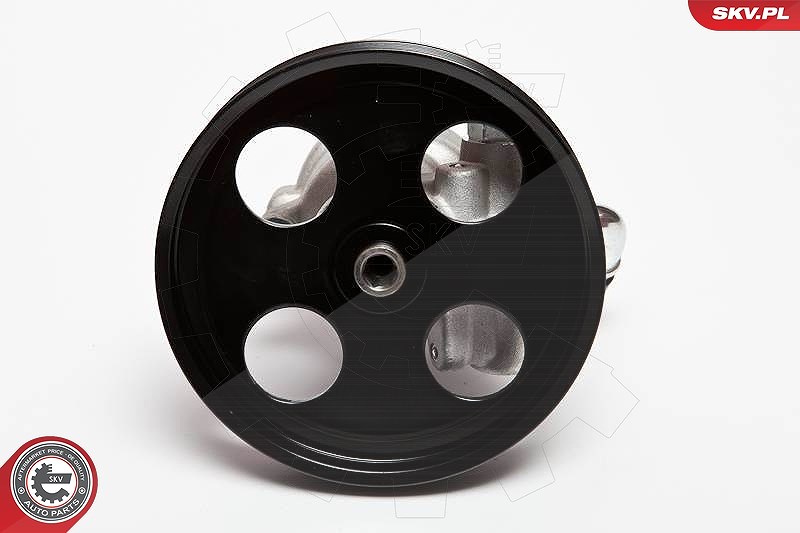Esen Skv Hydraulikpumpe, Lenkung [Hersteller-Nr. 10SKV002] für Citroën, Peugeot