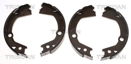 Triscan Bremsbackensatz, Feststellbremse [Hersteller-Nr. 810044001] für Ssangyong