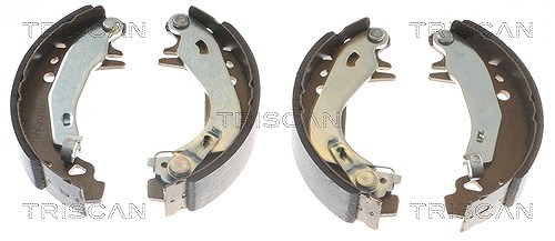 Triscan Bremsbackensatz [Hersteller-Nr. 810028055] für Peugeot, Citroën