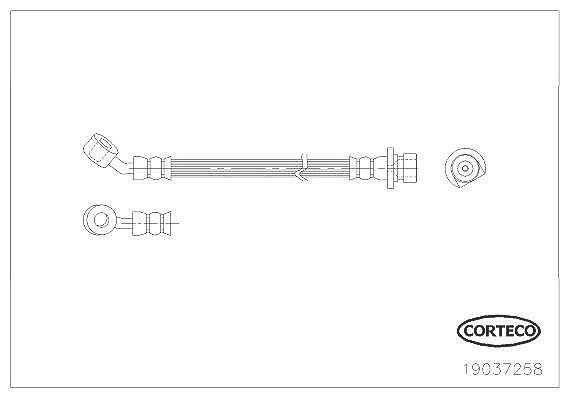 Corteco Bremsschlauch ERSTAUSRÜSTERQUALITÄT [Hersteller-Nr. 19037258] für Honda