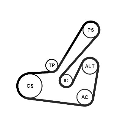 Continental Ctam Keilrippenriemensatz [Hersteller-Nr. 6PK1145K2] für Citroën, Peugeot