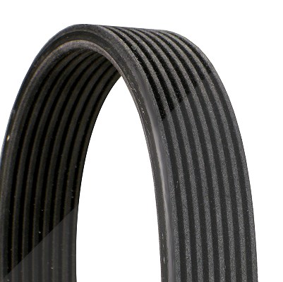 Continental Ctam Keilrippenriemen [Hersteller-Nr. 8DPK1833] für BMW