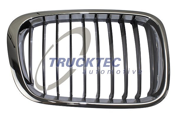 Trucktec Automotive Kühlergitter [Hersteller-Nr. 08.62.258] für BMW