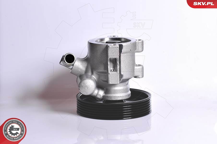 Esen Skv Hydraulikpumpe, Lenkung [Hersteller-Nr. 10SKV138] für Peugeot, Fiat, Citroën