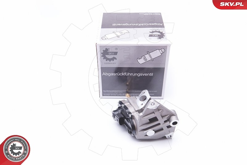 Esen Skv AGR-Ventil [Hersteller-Nr. 14SKV087] für Audi, Seat, VW, Skoda