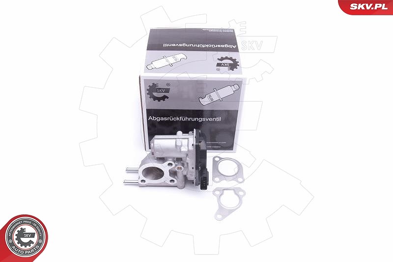 Esen Skv AGR-Ventil [Hersteller-Nr. 14SKV215] für Toyota