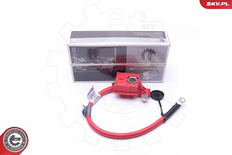 Esen Skv Batterieadapter [Hersteller-Nr. 96SKV302] für BMW