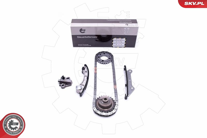 Esen Skv Steuerkettensatz [Hersteller-Nr. 21SKV205] für Vauxhall, Opel, Nissan, Renault