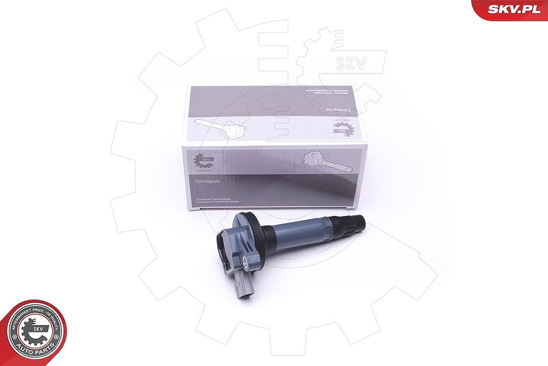 Esen Skv Zündspule [Hersteller-Nr. 03SKV271] für Ford Usa