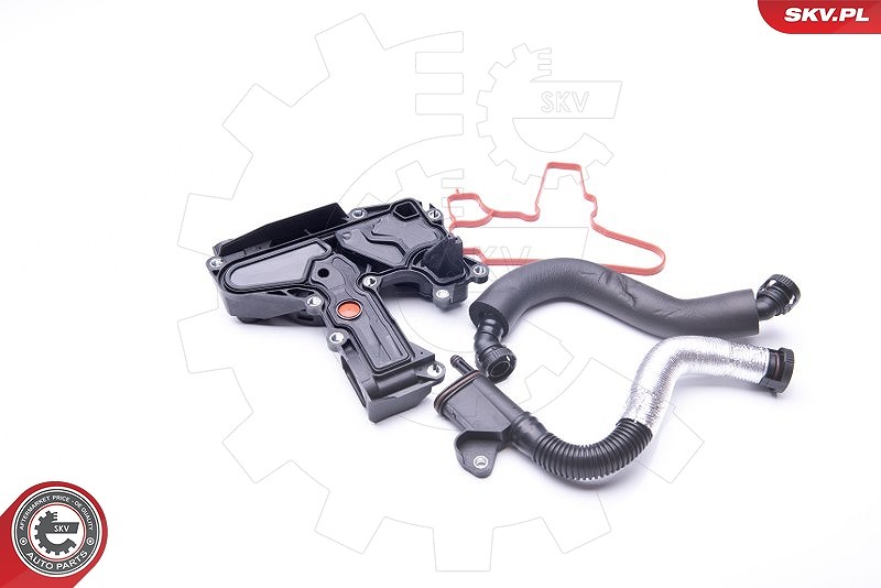Esen Skv Reparatursatz, Kurbelgehäuseentlüftung [Hersteller-Nr. 31SKV008] für VW, Audi, Skoda, Seat