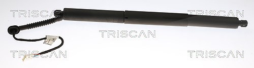 Triscan Gasfeder, Koffer-/Laderaum [Hersteller-Nr. 871011308] für BMW