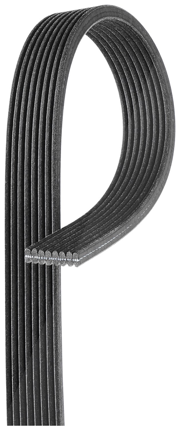 Gates Keilrippenriemen [Hersteller-Nr. 8DPK1825] für BMW