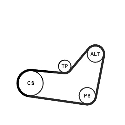 Continental Ctam Keilrippenriemensatz [Hersteller-Nr. 6PK1080K2] für Citroën, Fiat, Peugeot