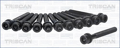 Triscan Zylinderkopfschraubensatz [Hersteller-Nr. 98-8512] für Audi, VW