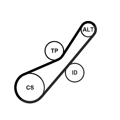 Continental Ctam Keilrippenriemensatz [Hersteller-Nr. 6PK800K2] für Citroën, Peugeot, Mini, Ds, Ford