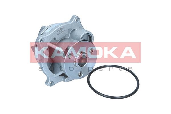 Kamoka Wasserpumpe [Hersteller-Nr. T0129] für BMW, Renault, Alpina, Ford Usa, Audi, Opel, Peugeot, Isuzu, Lexus, Geely, VW, Fiat, Mitsubishi, Skoda, T