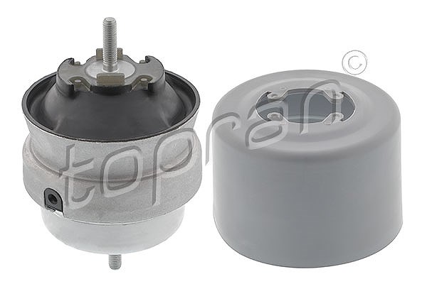 Topran Lagerung, Motor [Hersteller-Nr. 110386] für Audi
