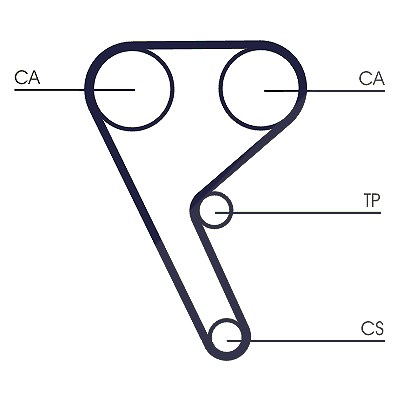 Continental Ctam Zahnriemen [Hersteller-Nr. CT1157] für Alfa Romeo, Lancia