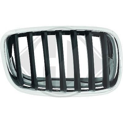 Diederichs Kühlergitter [Hersteller-Nr. 1291143] für BMW
