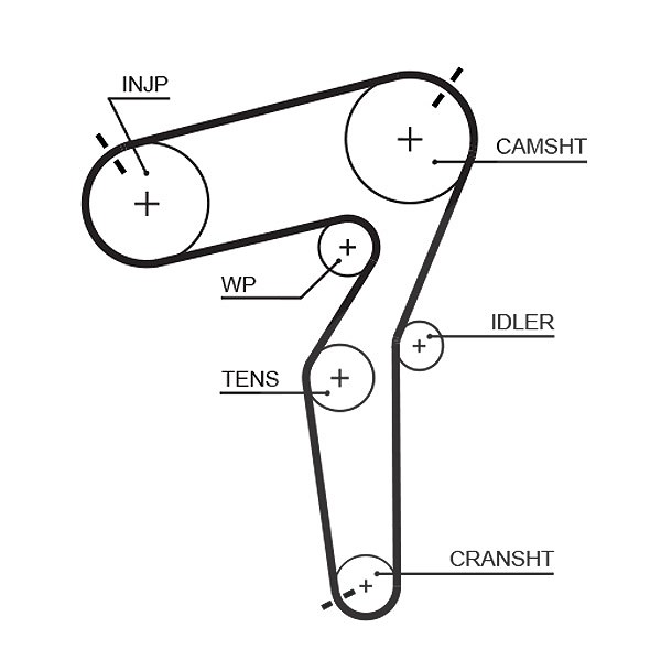 Gates Zahnriemen [Hersteller-Nr. 5684XS] für Fiat, Alfa Romeo, Jeep