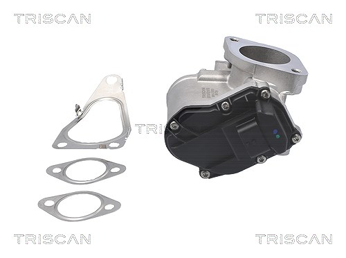 Triscan AGR-Ventil [Hersteller-Nr. 881325201] für Renault