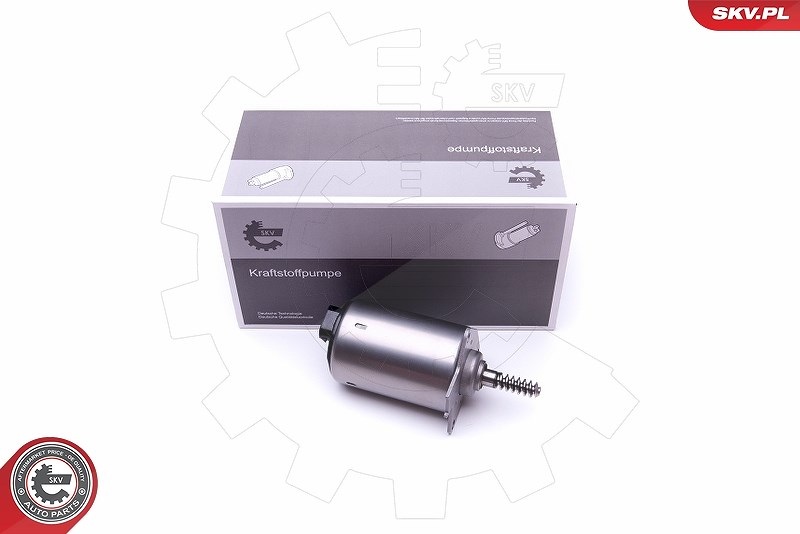 Esen Skv Stellelement, Exzenterwelle (variabler Ventilhub) [Hersteller-Nr. 96SKV087] für Citroën, Peugeot, Mini