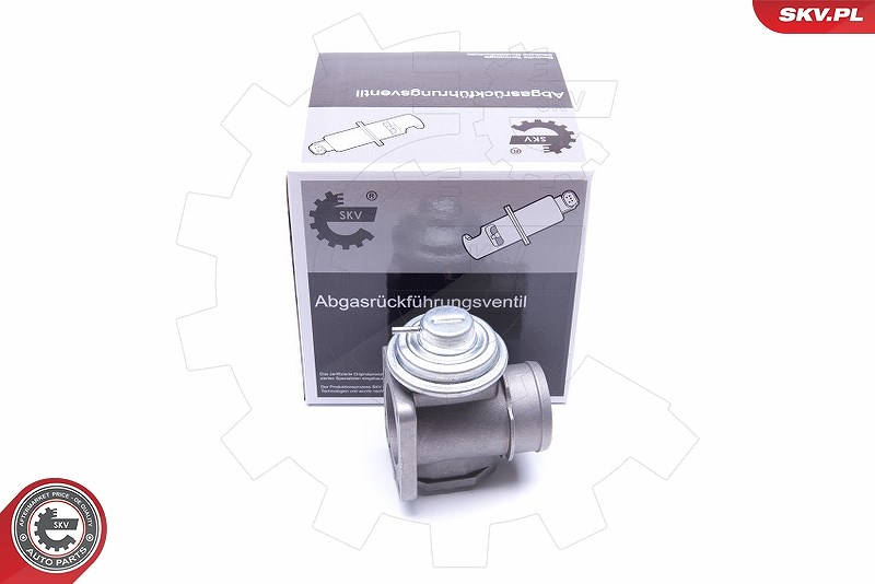 Esen Skv AGR-Ventil [Hersteller-Nr. 14SKV174] für Opel, BMW, Vauxhall