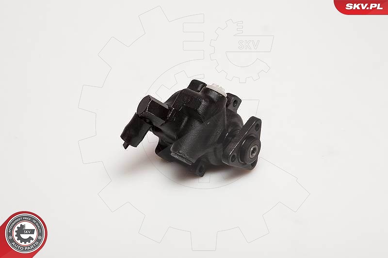 Esen Skv Hydraulikpumpe, Lenkung [Hersteller-Nr. 10SKV056] für Ford
