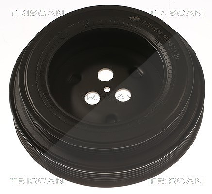 Triscan Riemenscheibe, Kurbelwelle [Hersteller-Nr. 864310020] für Citroën, Jaguar, Fiat, Peugeot, Ford