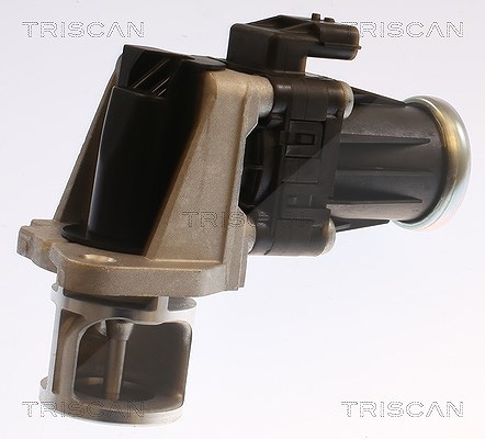Triscan AGR-Ventil [Hersteller-Nr. 881325040] für Nissan, Renault