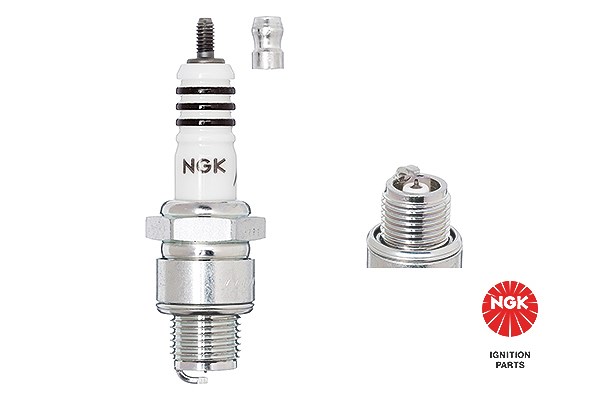 Ngk Zündkerze [Hersteller-Nr. 7001] für Citroën, BMW, Ford, Porsche, Fiat, Renault, Alpine, Borgward