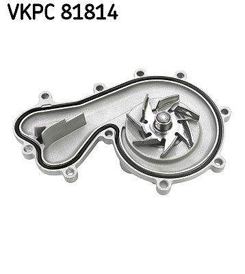 Skf Wasserpumpe [Hersteller-Nr. VKPC81814] für VW, Porsche, Audi