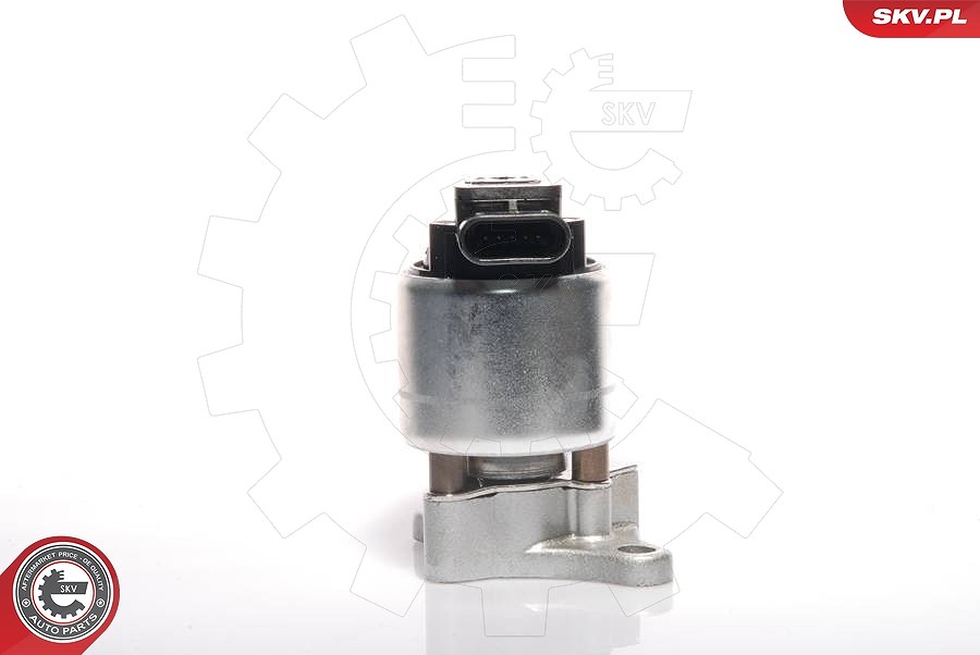 Esen Skv AGR-Ventil [Hersteller-Nr. 14SKV041] für Vauxhall, Opel
