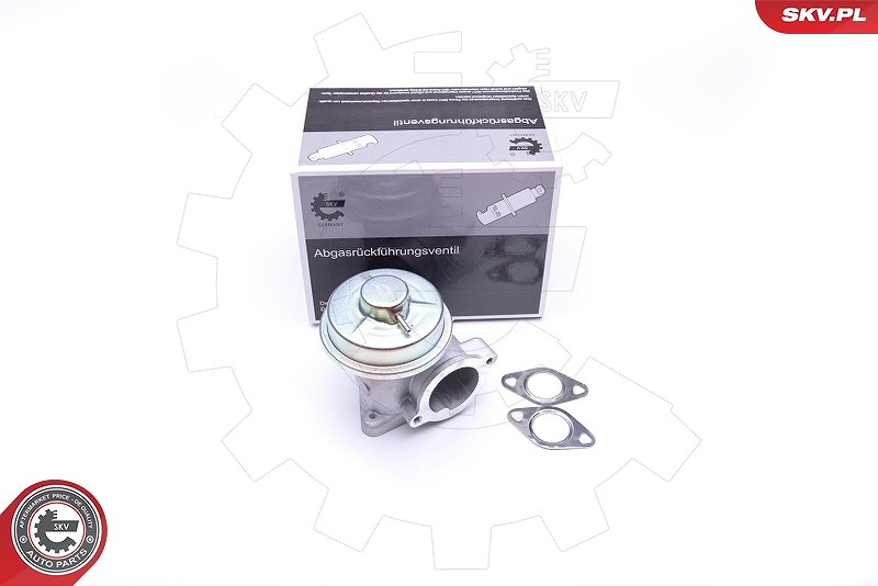 Esen Skv AGR-Ventil [Hersteller-Nr. 14SKV092] für Ford, Jaguar