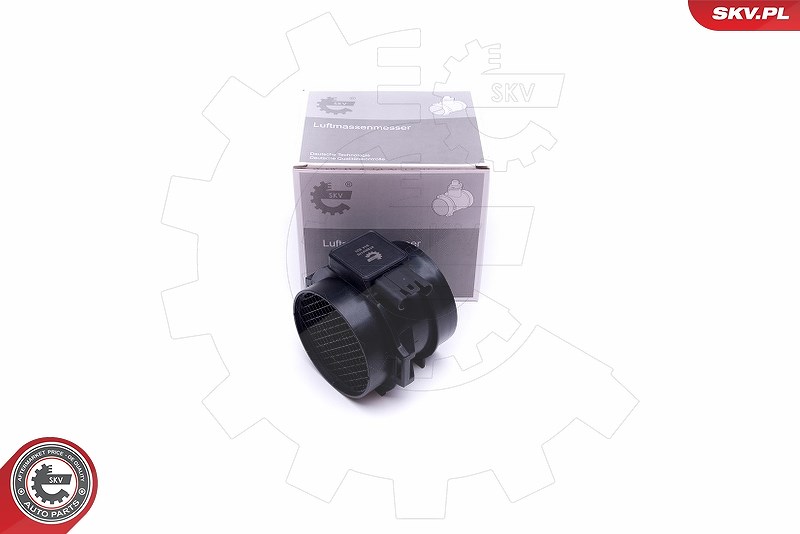 Esen Skv Luftmassenmesser [Hersteller-Nr. 07SKV170] für BMW