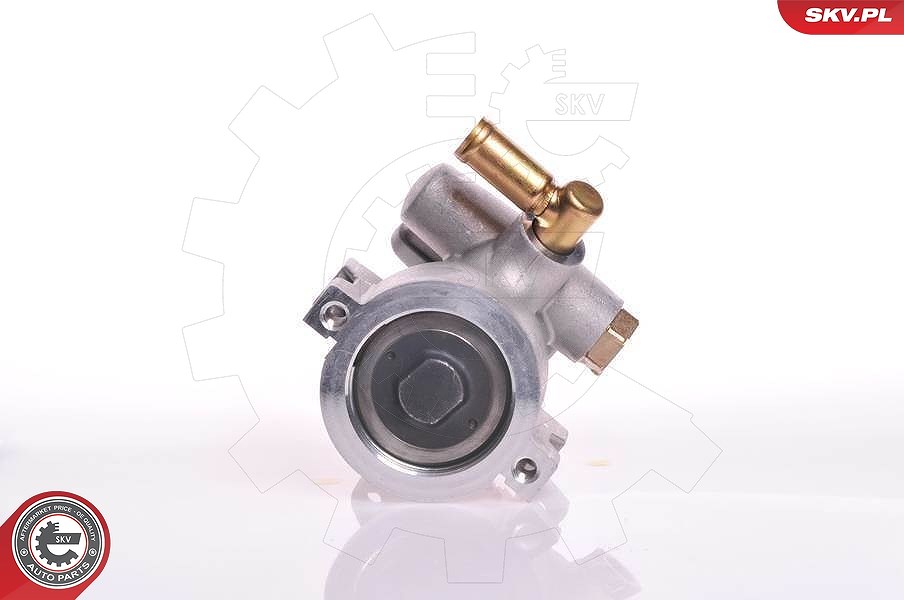 Esen Skv Hydraulikpumpe, Lenkung [Hersteller-Nr. 10SKV120] für Ford