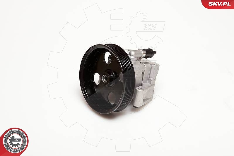 Esen Skv Hydraulikpumpe, Lenkung [Hersteller-Nr. 10SKV050] für Jaguar