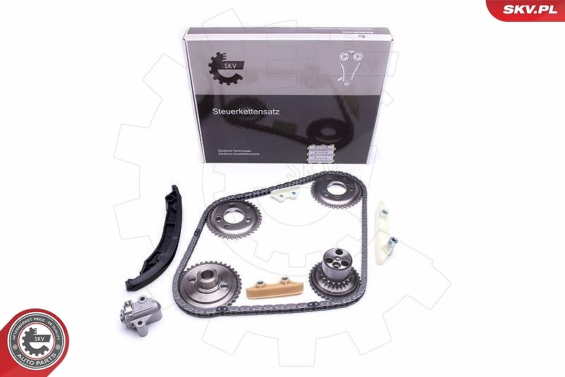 Esen Skv Steuerkettensatz [Hersteller-Nr. 21SKV120] für Ford, Land Rover