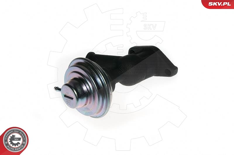 Esen Skv AGR-Ventil [Hersteller-Nr. 14SKV077] für Peugeot, Citroën, Fiat, Lancia, Suzuki