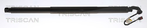 Triscan Gasfeder, Koffer-/Laderaum [Hersteller-Nr. 871029307] für Skoda