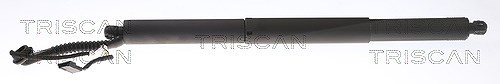 Triscan Gasfeder, Koffer-/Laderaum [Hersteller-Nr. 871011307] für BMW
