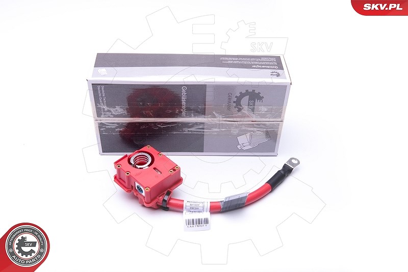 Esen Skv Batterieadapter [Hersteller-Nr. 96SKV309] für BMW
