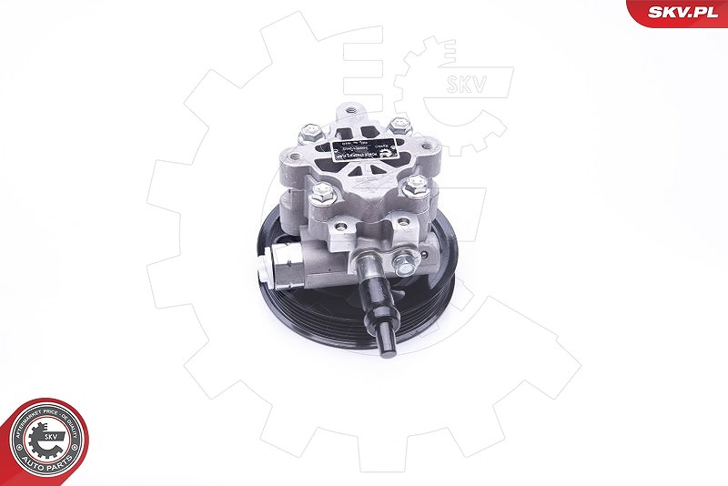 Esen Skv Hydraulikpumpe, Lenkung [Hersteller-Nr. 10SKV265] für Land Rover
