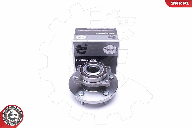 Esen Skv Radlagersatz [Hersteller-Nr. 29SKV393] für Dodge, Fiat