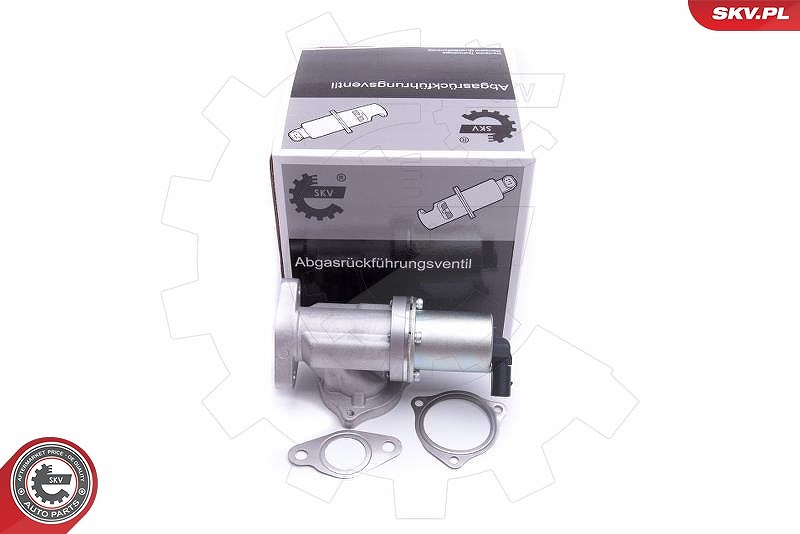 Esen Skv AGR-Ventil [Hersteller-Nr. 14SKV209] für Hyundai, Kia