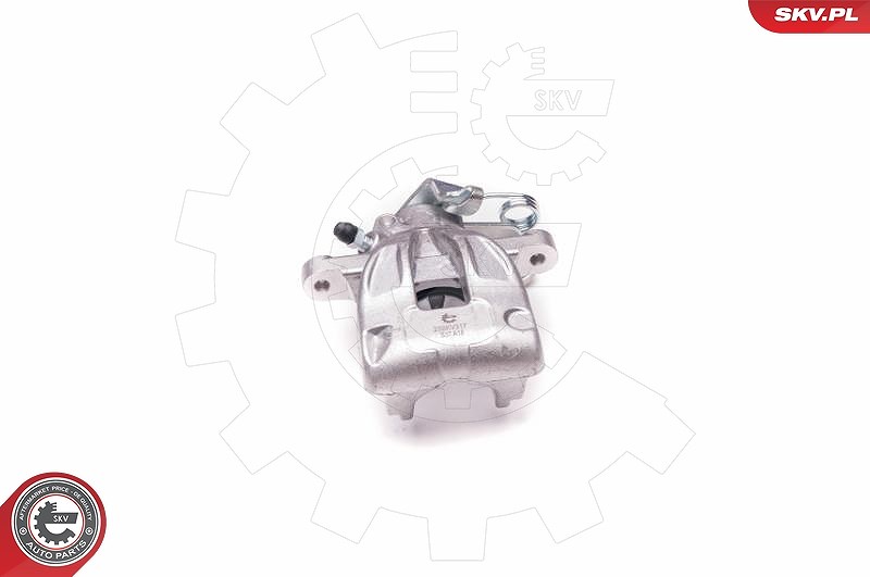 Esen Skv Bremssattel [Hersteller-Nr. 23SKV317] für Citroën, Peugeot